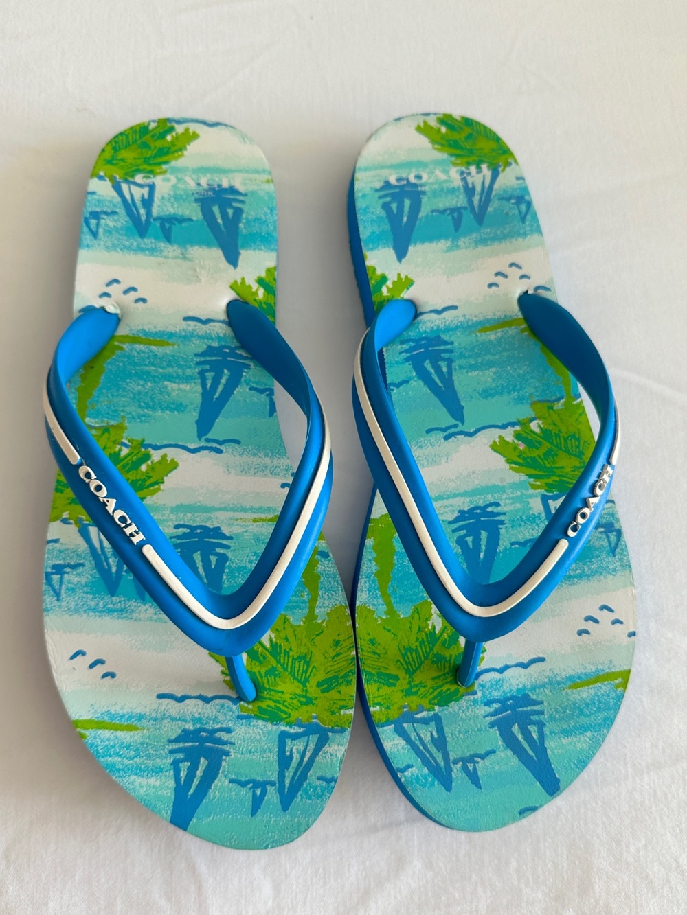 Coach Blue Green Nautical Flip Flops Size 7/8 Women’s